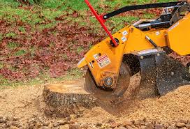 Best Tree Health Inspection  in Country Homes, WA